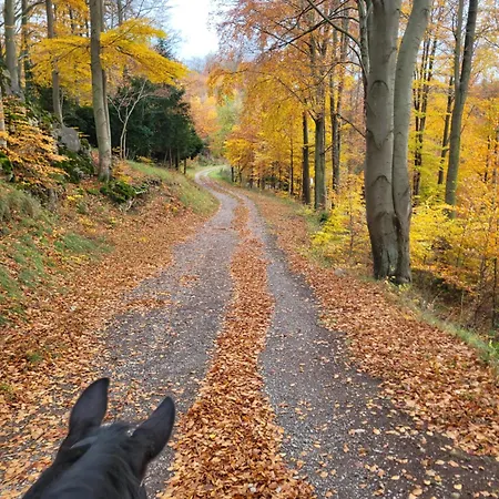 公寓 Ah Helledahls Weyer (Limburg-Weilburg)