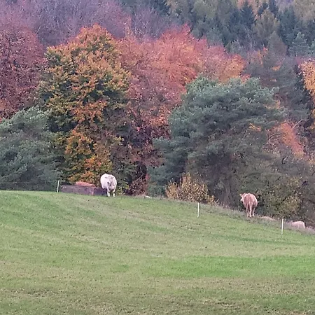 公寓 Ah Helledahls