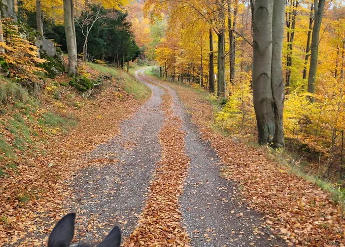 公寓 Ah Helledahls Weyer (Limburg-Weilburg)