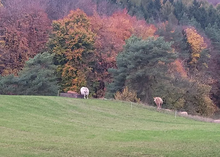 公寓 Ah Helledahls